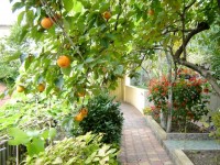 Сочи море отдых отзывы - Лучшие частные дома