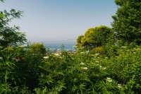 Сочи 2024 отдых море - снять жилье - Гостиница «Золотой Мыс»