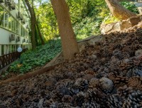 Ялта 2024 отели - все включено с бассейном - Лучшие отели 2020