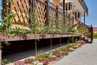 Темрюк лучшие гостевые дома и отели для отдыха - Лучшие отели 2020