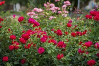 Песочное 2024 жилье без посредников от хозяина - Лучшие отели 2020