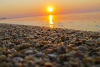 Феодосия 2024 отдых на Черном море России - Лучшие гостевые дома