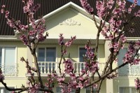 Евпатория отели рядом с морем - Лучшие отели 2022