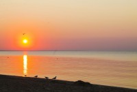 Феодосия 2024 лучший отдых на море - Лучшие гостевые дома