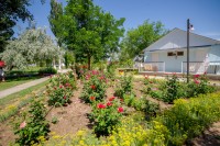 Песочное снять жилье посуточно и недорого - Лучшие отели 2020