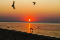 Феодосия 2024 отдых море Россия цены - Лучшие гостевые дома