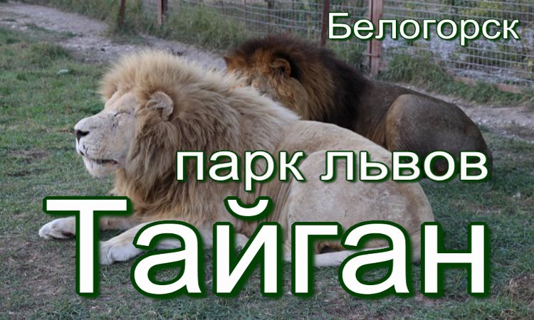 найти жилье для отдыха для жителей Когалыма и Сургута