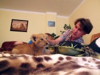 Белогорск 2020 - отдых в гостевых домах - цены - Гостиница «Сафари»