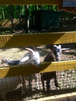 Колышлей купить путевку по акции в санаторий - Санаторий «Хопровские Зори»