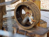 Колышлей заявление на путевку в санаторий образец - Санаторий «Хопровские Зори»