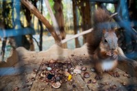 Колышлей как получить путевку в санаторий бесплатно работающему - Санаторий «Хопровские Зори»