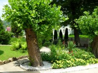 Туапсе цены на отдых в недорогих пансионатах и гостевых домах - Лучшие отели 2020