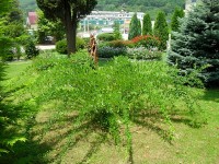 Туапсе цены в гостевых домах частного сектора - Лучшие отели 2020