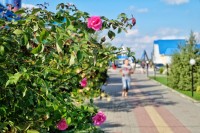 Мостовской 2024 отели с питанием для детей - Лучшие базы отдыха