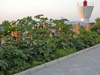 Черноморское 2024 недорогие отели и гостиницы у моря - Лучшие отели 2022