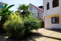  - Сочи - Гостевые дома 2019 - цены на отдых с детьми в гостевых домах