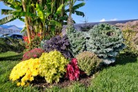 Мостовской 2024 отдых в гостевых домах с бассейном - Лучшие базы отдыха