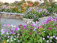 Черноморское 2024 мини - гостиницы недорого - Лучшие отели 2022