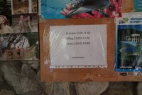 Туапсе 2024 отдых с животными в частном секторе - Гостевой дом «Виктория»