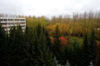 Набережные Челны профсоюз путевки в санаторий - Санаторий «Жемчужина»