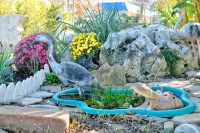 Мостовской 2024 отдых в гостевых домах с питанием - Лучшие базы отдыха