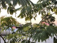 Черноморское 2024 частные гостиницы недорого - Лучшие отели 2022