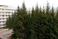 Набережные Челны санатории для похудения в россии недорого отзывы - Санаторий «Жемчужина»
