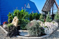 Мостовской 2024 дешевые отели где все включено - Лучшие базы отдыха