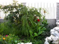 Черноморское 2024 гостиница на сутки - стоимость жилья - Лучшие отели 2022