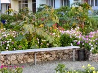 Черноморское 2024 гостиницы и гостевые дома в частном секторе - Лучшие отели 2022