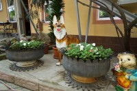 Туапсе 2024 гостевые дома - отдых у моря - Гостевой дом «Виктория»