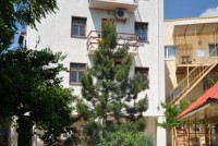  - Саки -  2019 - 