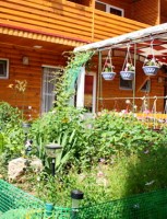  - Штормовое - Гостевые дома 2019 - 