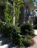 Феодосия  - Лучшие отели 2017