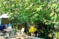 Лучшие отели 2017 - Алушта 2024 отдых без посредников у моря Алушта 2024 - Лучшие отели 2017