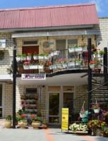  - Феодосия - Гостевые дома 2019 - 