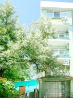  - Саки - Гостевые дома 2019 - 