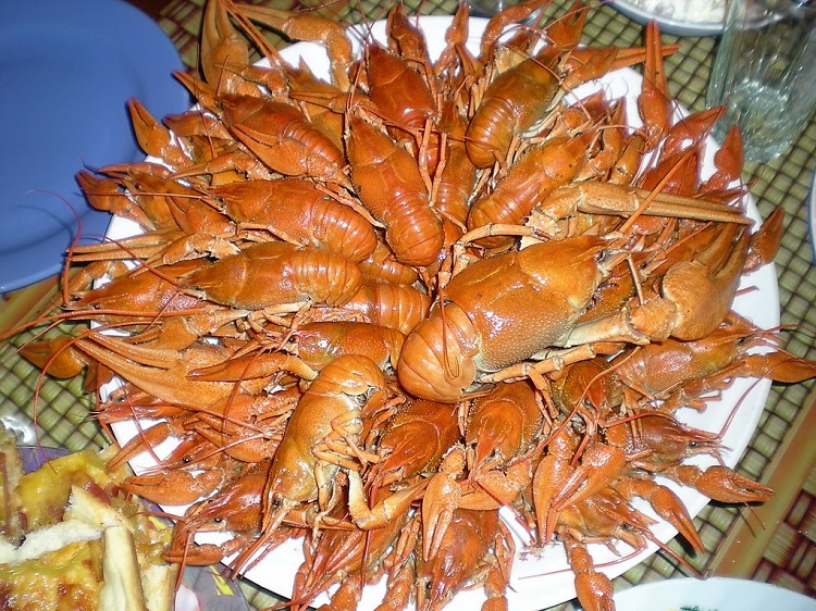 кучугуры краснодарский отдых