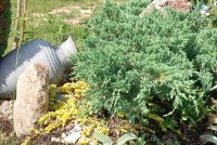 Отдых в Анапе Витязево отель 2017 цены