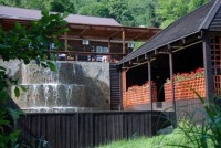 Сочи 2024  - Отель «Роз Мари»