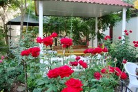 База отдыха Прибой 2016 База Прибой Саки отзывы