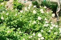 База Прибой отзывы База отдыха Прибой отзывы