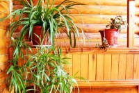 Геленджик 2024  - Лучшие отели 2017