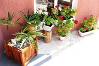 Геленджик 2024  - Лучшие отели 2017