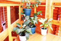 Геленджик 2024  - Лучшие отели 2017