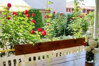 Крым Саки база Прибой База отдыха Прибой цены