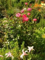  - Евпатория - Усадьбы 2019 - 