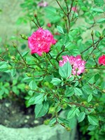 Евпатория 2024  - Отель «На Эскадронной»