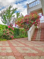 Евпатория  - Лучшие отели 2017