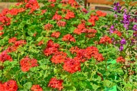 Алушта 2024 Официальный сайт санаторий Киев  Алушта 2017 - Лучшие отели 2017